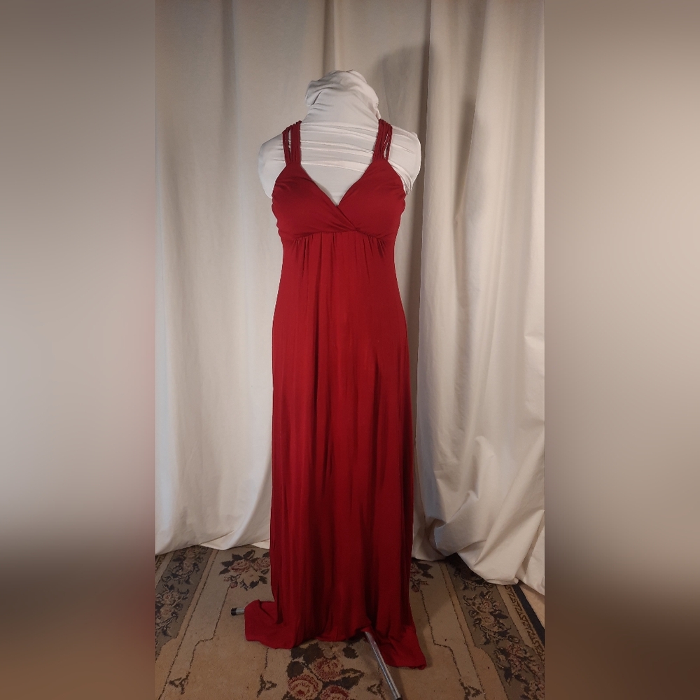NWT Pink Rose Maxi Dress